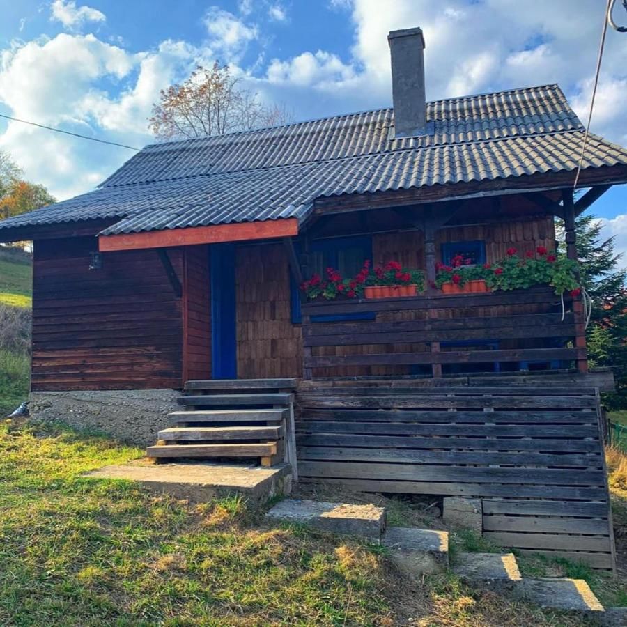 Дома для отпуска Căsuța Măriei Борша